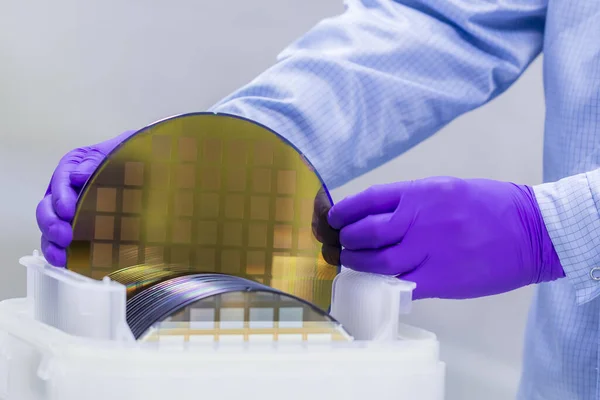 Oblea Silicio Con Semiconductores Caja Almacenamiento Plástico Blanco Sacar Mano — Foto de Stock