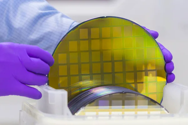 Silicon Wafer with semiconductors in plastic white storage box take out by hand in gloves inside clean room.Wafer with microchips.Rainbow on silicon wafers.Color silicon wafers with glare.