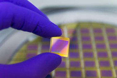 Mavi eldiven, mikroçip fotoğraf sensörü matrisi tutuyor. Arka planda mikro çiplerle kesilmiş silikon gofret var. Cipse odaklan. Yüzeyde gökkuşağı var..