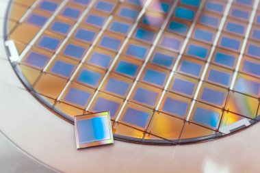 Silicon wafer with microchips fixed in a holder with a steel frame after the dicing process and separate microchips. Silicon Color silicon wafers with glare. clipart