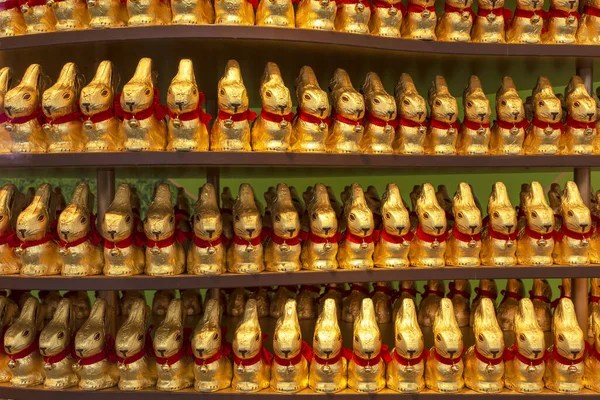 Pek Çok Paskalya Tavşanı Çikolatalı Altın Rengi Alüminyum Folyoyla Kaplanmış — Stok fotoğraf