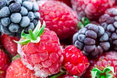 Close-up view on frozen natural raspberries of red color on a branch and pieces of ice on surface, food background. Selective focus. clipart
