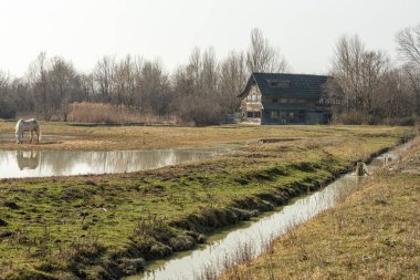 Doğal doğa rezerv park ya da nehir ağzında Isonzo