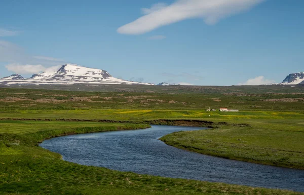 Paisaje verde escénico de Islandia —  Fotos de Stock