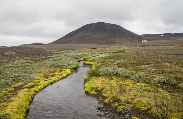 Překrásné zelené krajiny Islandu — Stock fotografie