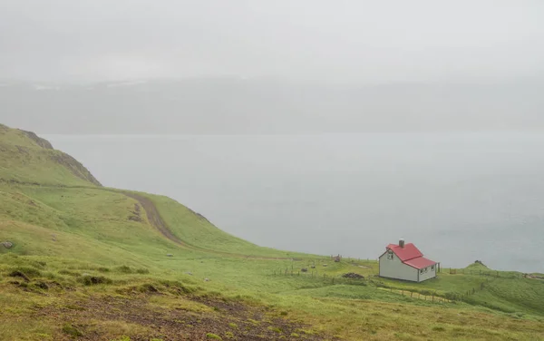 在冰岛的绿色景观 — 图库照片