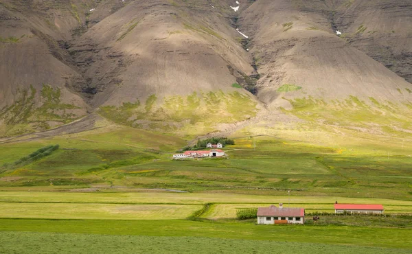 Schilderachtig groen landschap in IJsland — Stockfoto
