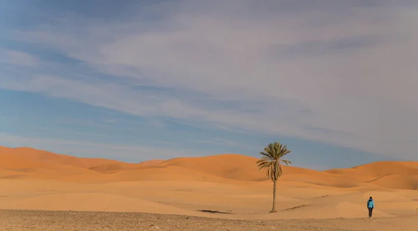 Natursköna öknen nära Merzouga i Marocko — Stockfoto