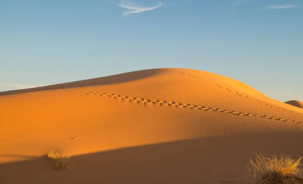 Schilderachtige woestijn in de buurt van Merzouga in Marokko — Stockfoto