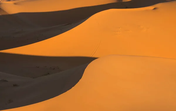 Schilderachtige woestijn in de buurt van Merzouga in Marokko — Stockfoto