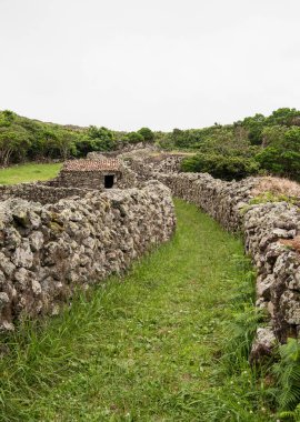 Volkanik doğal yeşil peyzaj Azor Adaları