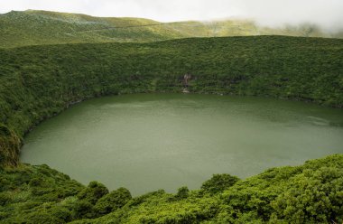 Volkanik doğal yeşil peyzaj Azor Adaları