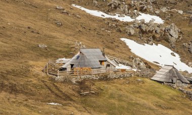 Doğal yüksek alpine mera Velika Planina ve geleneksel ahşap çoban evler 