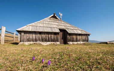 Geleneksel ahşap çoban evler Velika Planina mera üzerinde