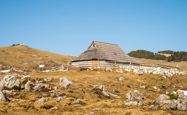 Malebné Dřevěné Tradiční Chata Louce Velika Planina Slovinsku — Stock fotografie