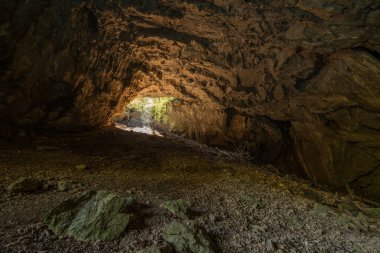 Doğal Rakov Skocjan Milli Parkı Slovenya