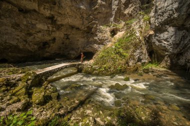 Doğal Rakov Skocjan Milli Parkı Slovenya