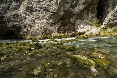 Doğal Rakov Skocjan Milli Parkı Slovenya