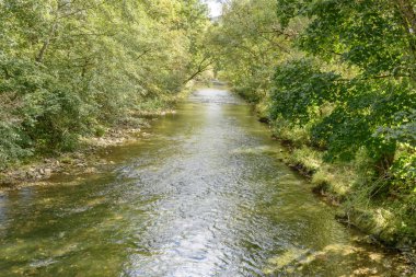 Wutach Nehri arasında ağaçlar, Almanya
