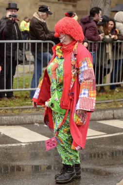 Karnaval geçit, Stuttgart, palyaço