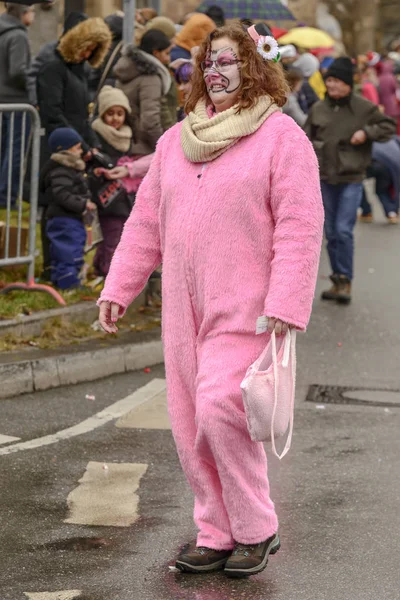 Karnaval geçit, Stuttgart, pembe domuz maskesi — Stok fotoğraf