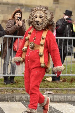 Karnaval geçit, Stuttgart, Leo maskesi