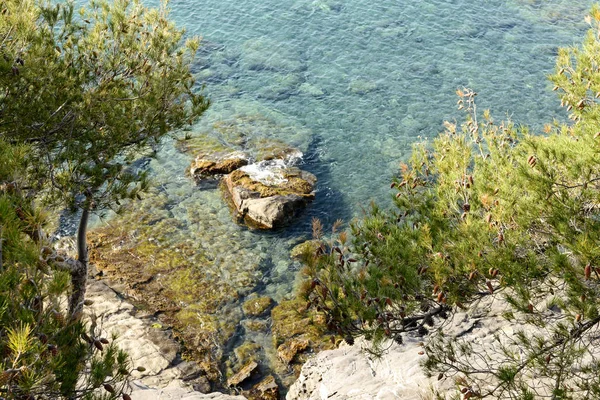 Helder water en mediterrane vegetatie, Italië — Stockfoto