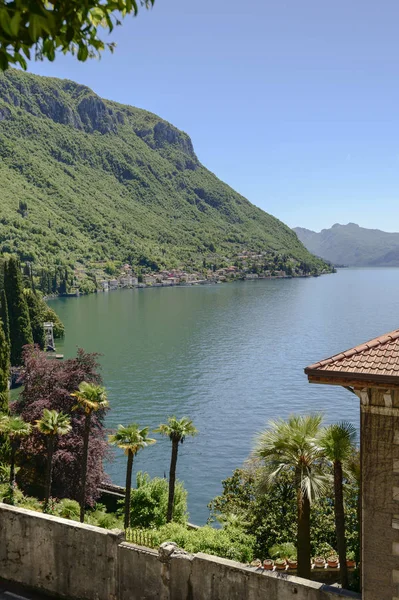 Palmen en kustlijn aan Varenna, Italië — Stockfoto