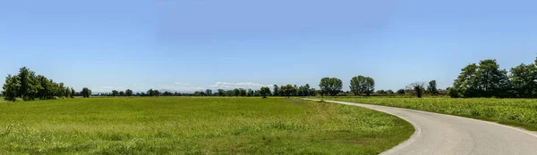 Пейзаж с рисовыми полями вблизи Мотта Висконти, Италия — стоковое фото