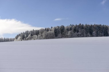  Hausen, Almanya yakınlarındaki kırsal kesimde beyaz çayırlardan çıkan karla kaplı ormanlar