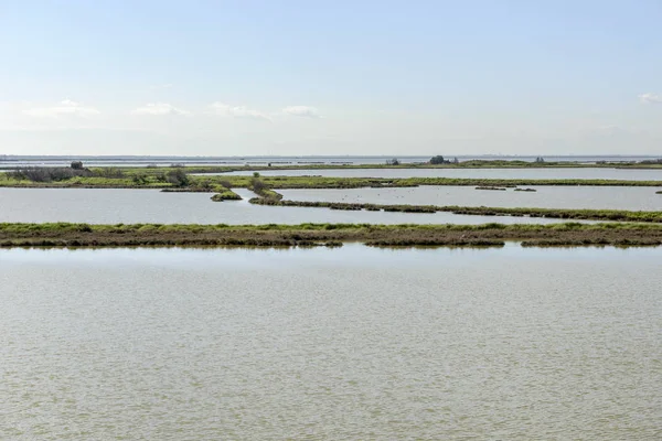 Vista Lagoa Com Barragens Solo Verde Entre Água Salgada Filmado — Fotografia de Stock