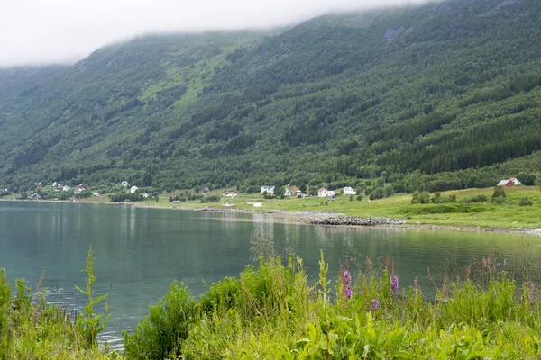 Зеленый пейзаж, Харвик, Норвегия — стоковое фото