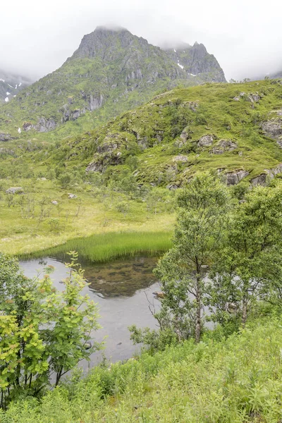 Malé jezero v zeleném údolí, Arnoya, Norsko — Stock fotografie