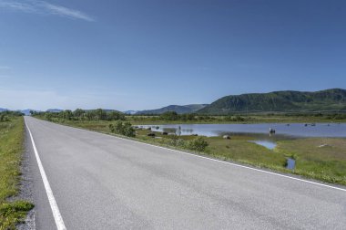 Sellevollvalan, Norveç 'te fiyort kıyısındaki boş yol.