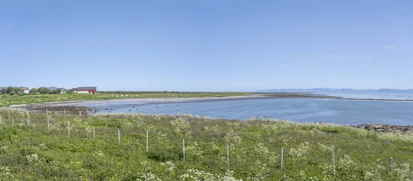 Florescendo costa fiorde verde em Dverberg, Noruega — Fotografia de Stock