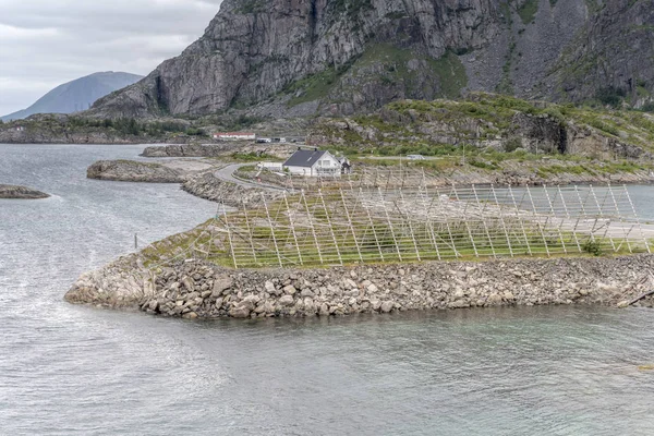 wooden racks for dried cod  at Skata, Henningsvaer,  Lofoten, Norway