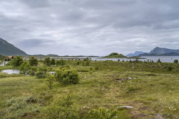 Grön fjord strand, nära Kleppstad, Lofoten, Norge — Stockfoto