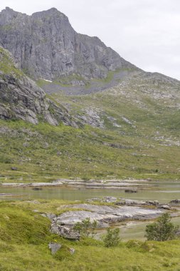  Flakstad, Lofoten, Norveç kıyısında dik yamaçlar