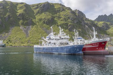 Limandaki gemiler, Ballstad, Lofoten, Norveç