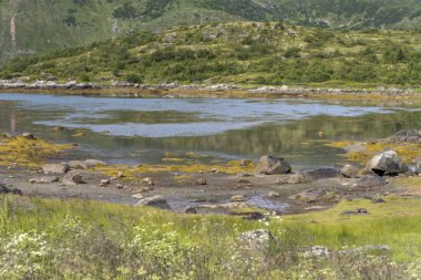 Steine, Lofoten, Norw yakınlarındaki yeşil fiyort körfezinde taşlar var.