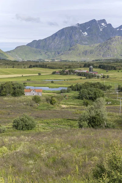 Aziende agricole immerse nel verde della campagna, vicino a Leknes, Lofoten, Norvegia — Foto Stock