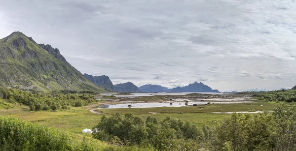 Groene fjord achterzijde, bij Stamsund, Lofoten, Noorwegen — Stockfoto