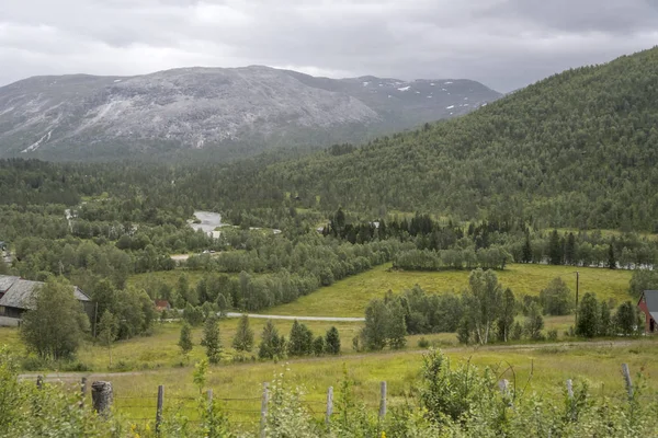 Bosques de colinas verdes y montañas estériles, cerca de Skiple, Noruega —  Fotos de Stock