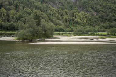 Evanger, Norveç yakınlarındaki ormanlarda balık sürüleri
