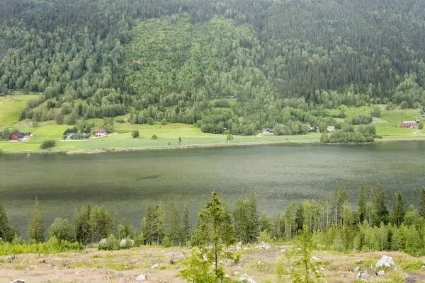 Casas espaciadas en la orilla verde del lago, cerca de Al, Noruega —  Fotos de Stock