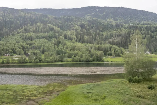 Zielony brzeg rzeki, niedaleko Stavn, Norwegia — Zdjęcie stockowe