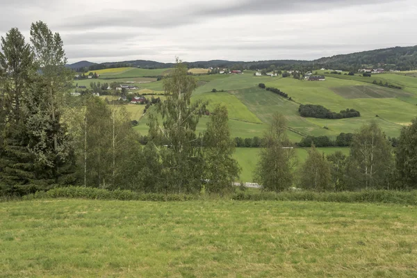 Деревья в зеленой местности, рядом с Honefoss, Норвегия — стоковое фото
