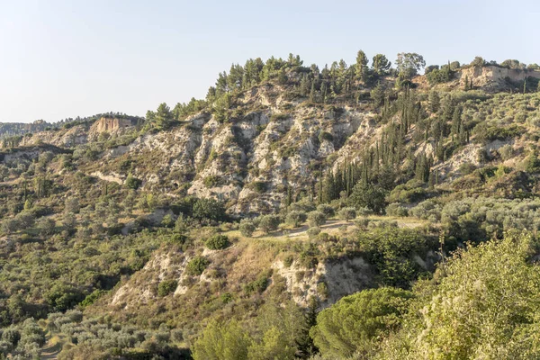 Frodig medelhavsvegetation på ravin, nära Roccanova, Italien — Stockfoto