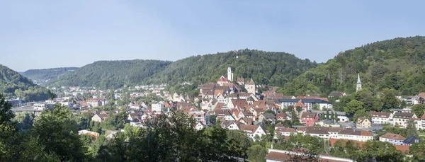 Antenn stadsbild av grön dal och historisk stad, Horb am Neckar — Stockfoto