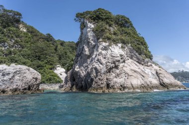 Motueka adasında yıpranmış volkanik kaya kayalıkları olan manzara, Merkür körfezi, Coromandel, Kuzey Adası, Yeni Zelanda 'da parlak bahar ışığı altında çekildi.
